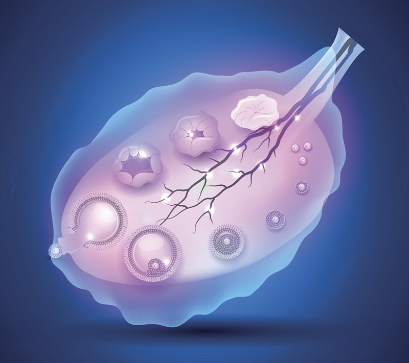2026年西安试管婴儿医院前十排名：高龄（44岁）女性选院指南与价格收费参考